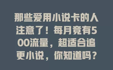 那些爱用小说卡的人注意了！每月竟有500流量，超适合追更小说，你知道吗？