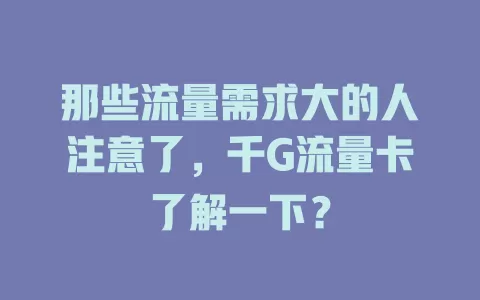 那些流量需求大的人注意了，千G流量卡了解一下？