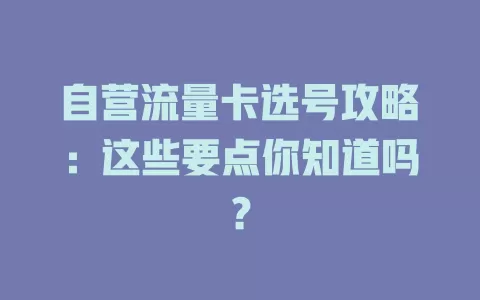 自营流量卡选号攻略：这些要点你知道吗？