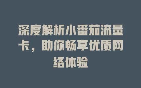 深度解析小番茄流量卡，助你畅享优质网络体验