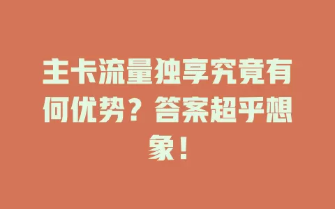 主卡流量独享究竟有何优势？答案超乎想象！