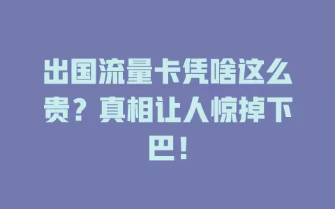 出国流量卡凭啥这么贵？真相让人惊掉下巴！