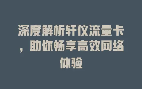 深度解析轩仪流量卡，助你畅享高效网络体验