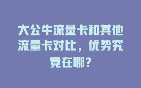 大公牛流量卡和其他流量卡对比，优势究竟在哪？