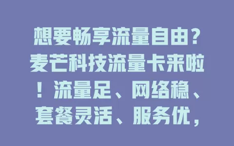 想要畅享流量自由？麦芒科技流量卡来啦！流量足、网络稳、套餐灵活、服务优，助你打造畅快上网环境