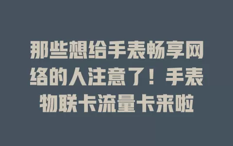 那些想给手表畅享网络的人注意了！手表物联卡流量卡来啦