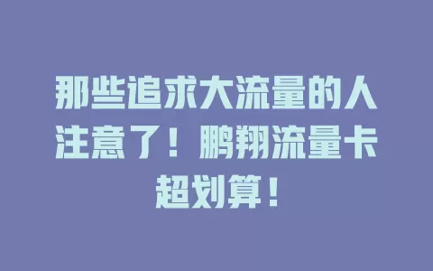 那些追求大流量的人注意了！鹏翔流量卡超划算！