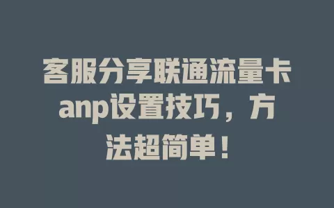 客服分享联通流量卡anp设置技巧，方法超简单！