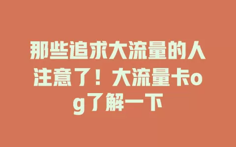 那些追求大流量的人注意了！大流量卡og了解一下