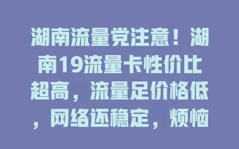 湖南流量党注意！湖南19流量卡性价比超高，流量足价格低，网络还稳定，烦恼流量不够的快来看看！