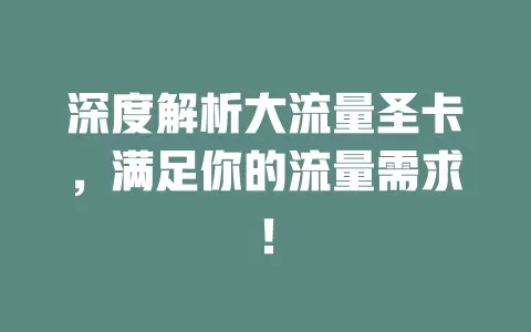 深度解析大流量圣卡，满足你的流量需求！