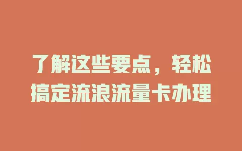 了解这些要点，轻松搞定流浪流量卡办理