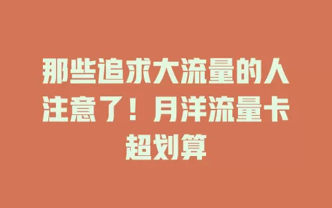 那些追求大流量的人注意了！月洋流量卡超划算