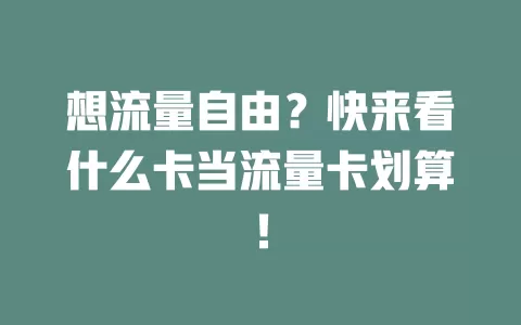 想流量自由？快来看什么卡当流量卡划算！