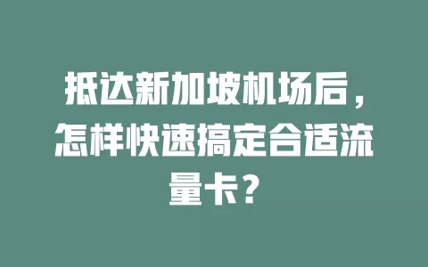抵达新加坡机场后，怎样快速搞定合适流量卡？