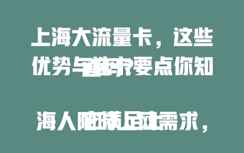 上海大流量卡，这些优势与选卡要点你知道吗？

它满足上海人随时上网需求，套餐多样适配各人群。选卡时要留意流量范围、费用构成等，了解这些才能挑到适合的大流量卡，在上海畅享网络。