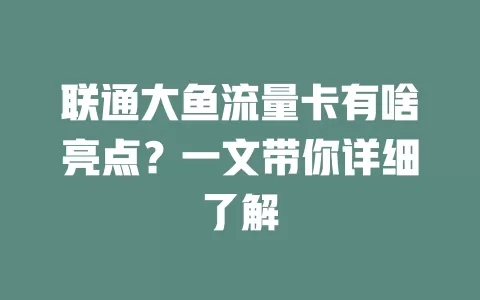 联通大鱼流量卡有啥亮点？一文带你详细了解