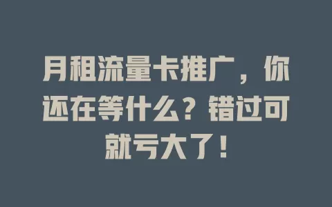 月租流量卡推广，你还在等什么？错过可就亏大了！