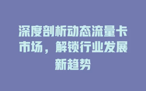 深度剖析动态流量卡市场，解锁行业发展新趋势