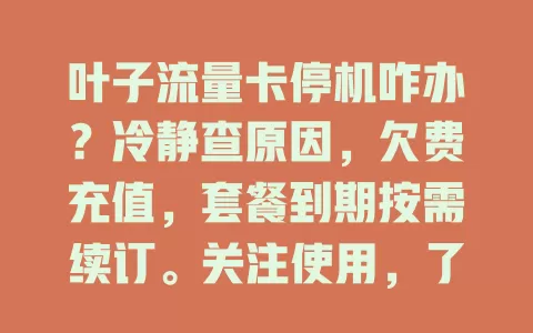 叶子流量卡停机咋办？冷静查原因，欠费充值，套餐到期按需续订。关注使用，了解规则，合理规划流量，减少停机困扰！