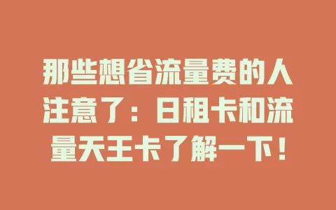 那些想省流量费的人注意了：日租卡和流量天王卡了解一下！