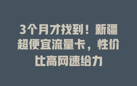 3个月才找到！新疆超便宜流量卡，性价比高网速给力