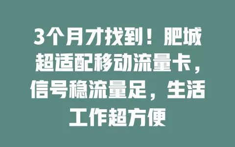 3个月才找到！肥城超适配移动流量卡，信号稳流量足，生活工作超方便