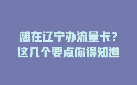 想在辽宁办流量卡？这几个要点你得知道
