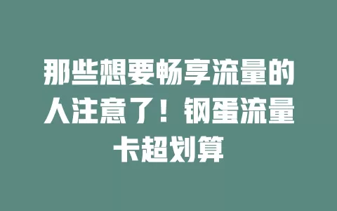 那些想要畅享流量的人注意了！钢蛋流量卡超划算