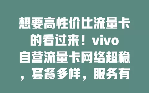 想要高性价比流量卡的看过来！vivo自营流量卡网络超稳，套餐多样，服务有保障，搭配vivo手机还有专属优惠，是流量卡可靠之选，别再纠结啦！