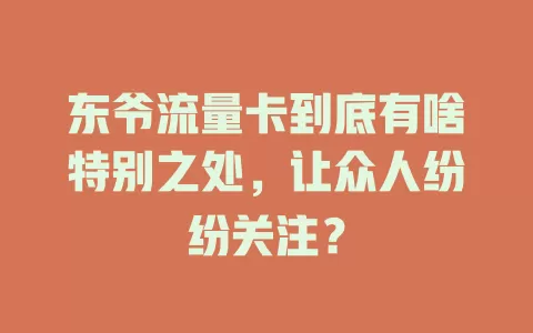 东爷流量卡到底有啥特别之处，让众人纷纷关注？