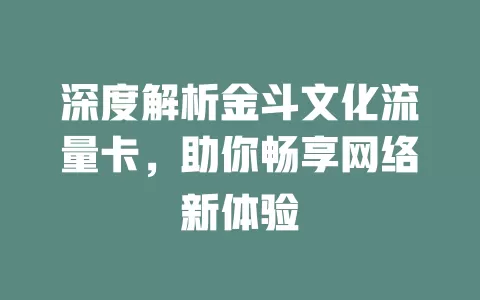 深度解析金斗文化流量卡，助你畅享网络新体验