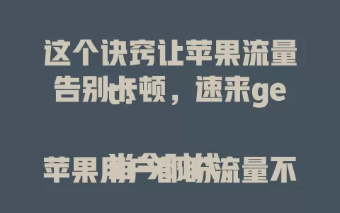 这个诀窍让苹果流量告别卡顿，速来get！

当今时代，苹果用户都盼流量不卡。做到这一点，要及时更新系统，合理设网络参数，定期清缓存，避免多应用同时连网。掌握这些，畅享高速网络无卡顿！