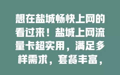 想在盐城畅快上网的看过来！盐城上网流量卡超实用，满足多样需求，套餐丰富，市区乡村都好用，是上网好帮手