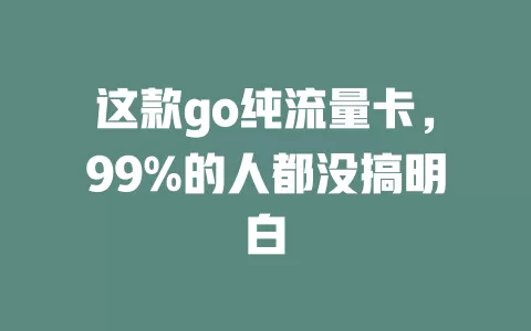 这款go纯流量卡，99%的人都没搞明白