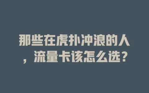 那些在虎扑冲浪的人，流量卡该怎么选？