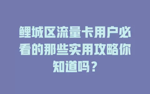 鲤城区流量卡用户必看的那些实用攻略你知道吗？