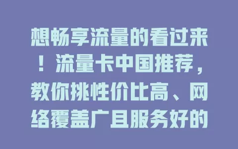 想畅享流量的看过来！流量卡中国推荐，教你挑性价比高、网络覆盖广且服务好的流量卡