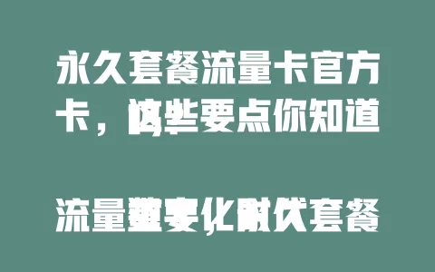 永久套餐流量卡官方卡，这些要点你知道吗？

数字化时代流量重要，永久套餐卡成焦点。其优势明显，永久套餐免担忧，官方保障权益。选卡要按需挑额度，关注频段覆盖，谨慎选享稳定便捷网络生活。