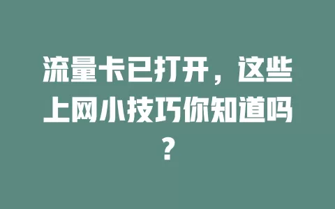 流量卡已打开，这些上网小技巧你知道吗？