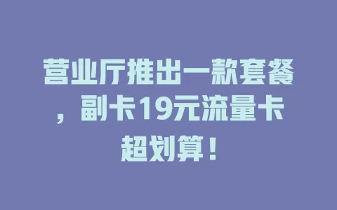 营业厅推出一款套餐，副卡19元流量卡超划算！