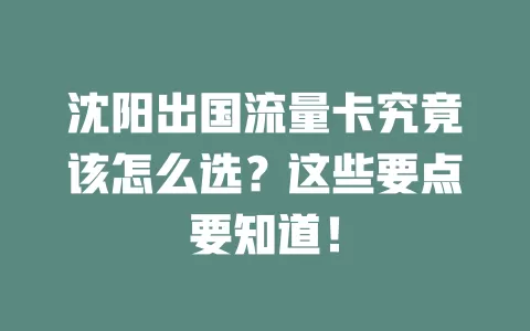 沈阳出国流量卡究竟该怎么选？这些要点要知道！