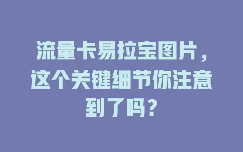 流量卡易拉宝图片，这个关键细节你注意到了吗？