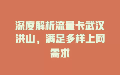 深度解析流量卡武汉洪山，满足多样上网需求