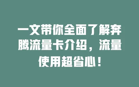 一文带你全面了解奔腾流量卡介绍，流量使用超省心！