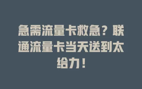 急需流量卡救急？联通流量卡当天送到太给力！