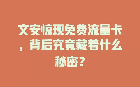 文安惊现免费流量卡，背后究竟藏着什么秘密？