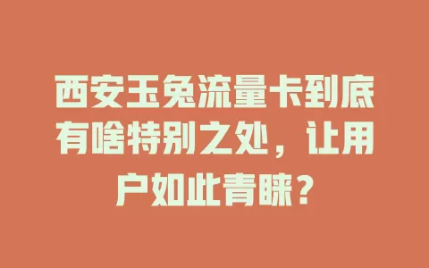 西安玉兔流量卡到底有啥特别之处，让用户如此青睐？