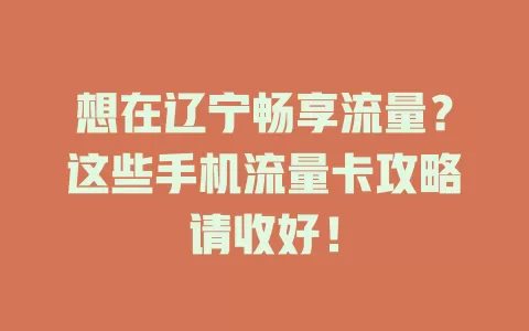 想在辽宁畅享流量？这些手机流量卡攻略请收好！