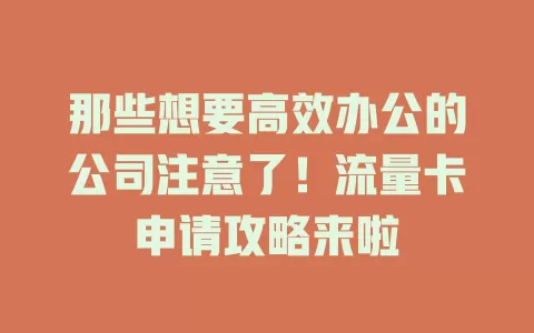 那些想要高效办公的公司注意了！流量卡申请攻略来啦